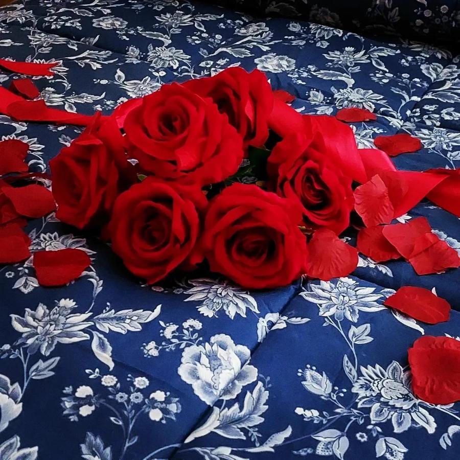 Roxy Bellavista Apartman Cogna Kültér fotó
